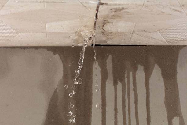 Professional Water Damage Inspection technician working in Riverside, ID
